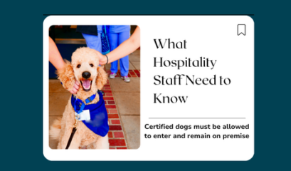 Assistance Dogs In Licensed Venues